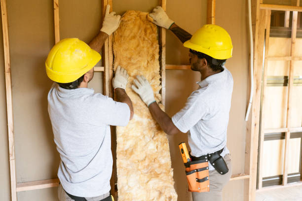 Best Blown-In Insulation  in Lovington, IL