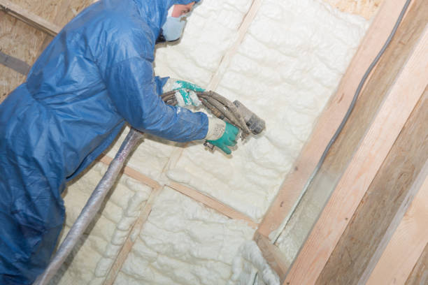 Best Soundproof Insulation  in Lovington, IL